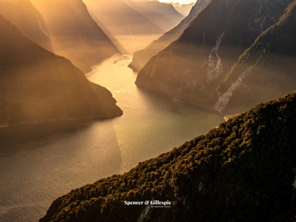 Aerial view of Milford Sound at sunrise, New Zealand.