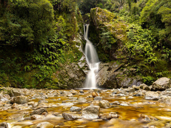 Waterfall in lush New Zealand forest
