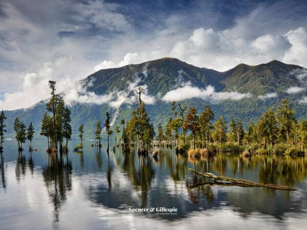 New Zealand lake with mountains and trees