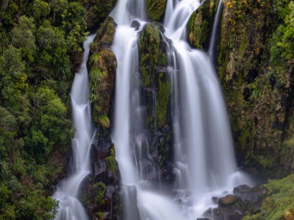 Beautiful New Zealand waterfall amid lush greenery