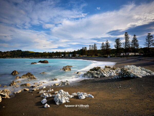 Rocky beach with pine trees and cloudy sky