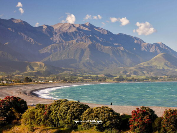Kaikoura coast with mountains, sea, and beach