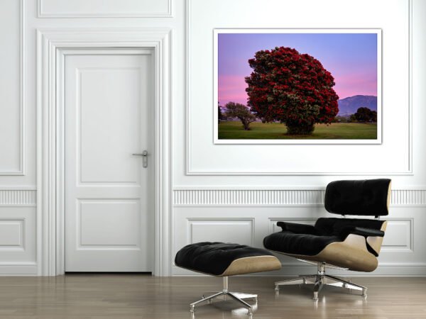 Elegant room with framed tree artwork