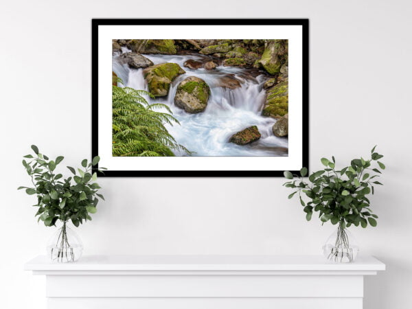 Framed waterfall picture on white wall with plants