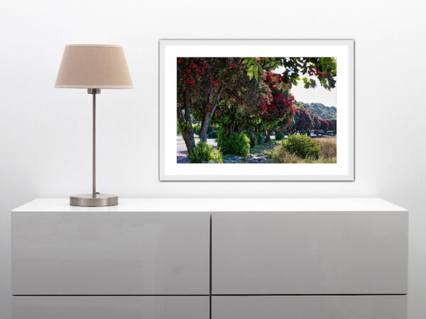 Lamp and framed photo on white drawers