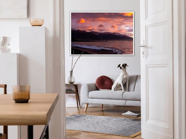 Dog on couch in modern living room.