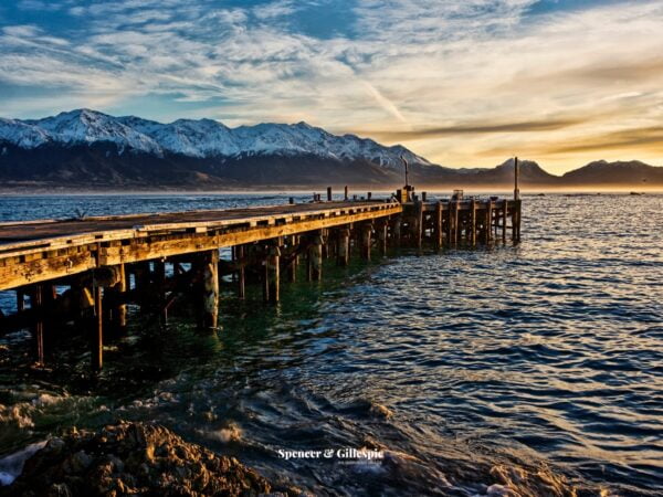 Kaikoura, New Zealand pier with snowy mountains.
