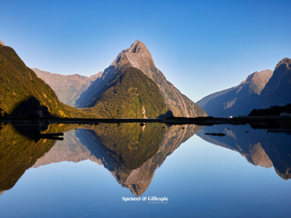 Stunning view of Milford Sound, New Zealand
