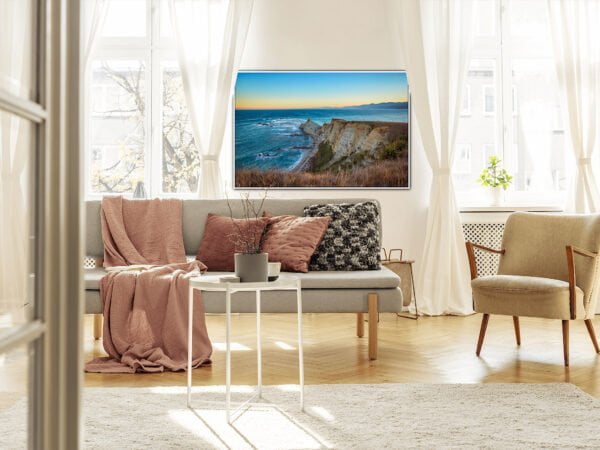 Modern living room with coastal painting, potted plant.
