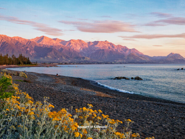 Sunset over Kaikoura beach and mountains, New Zealand